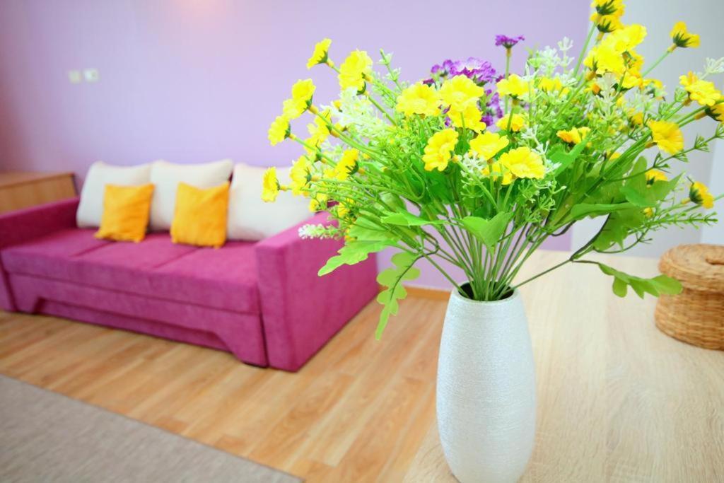 Flowers Apartments Timişoara Eksteriør billede